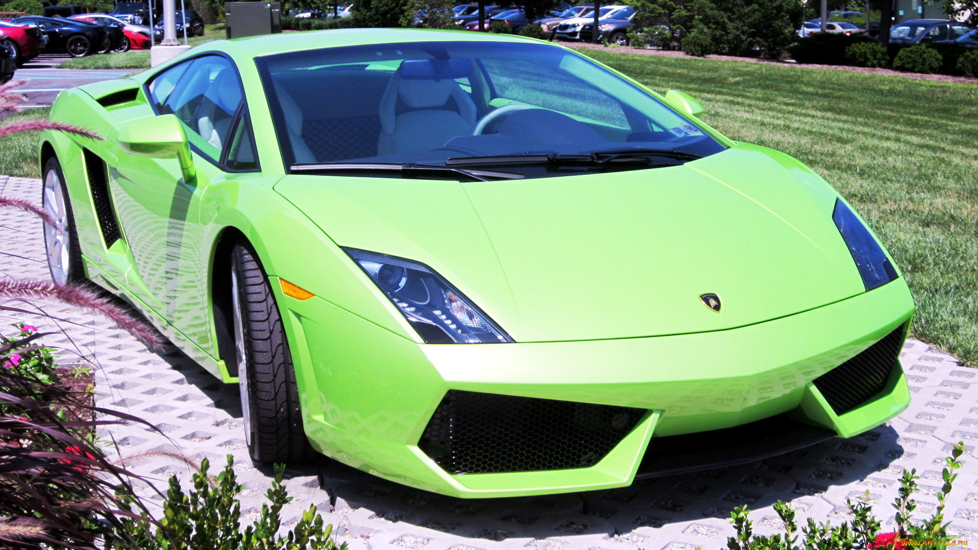 Lamborghini Gallardo Р·РµР»РµРЅС‹Р№